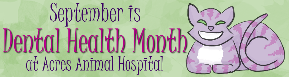 September is Dental Health Month
