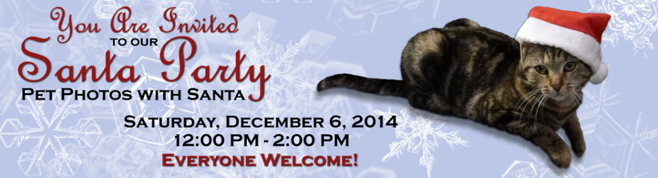 Santa Photo Party Invite