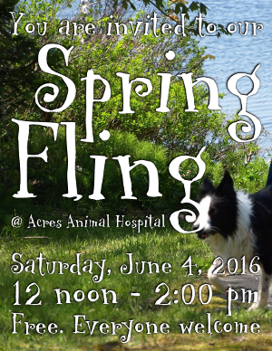 Spring Fling, June 4, 2016, 12 noon-2pm