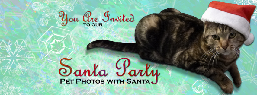 Santa Kitty