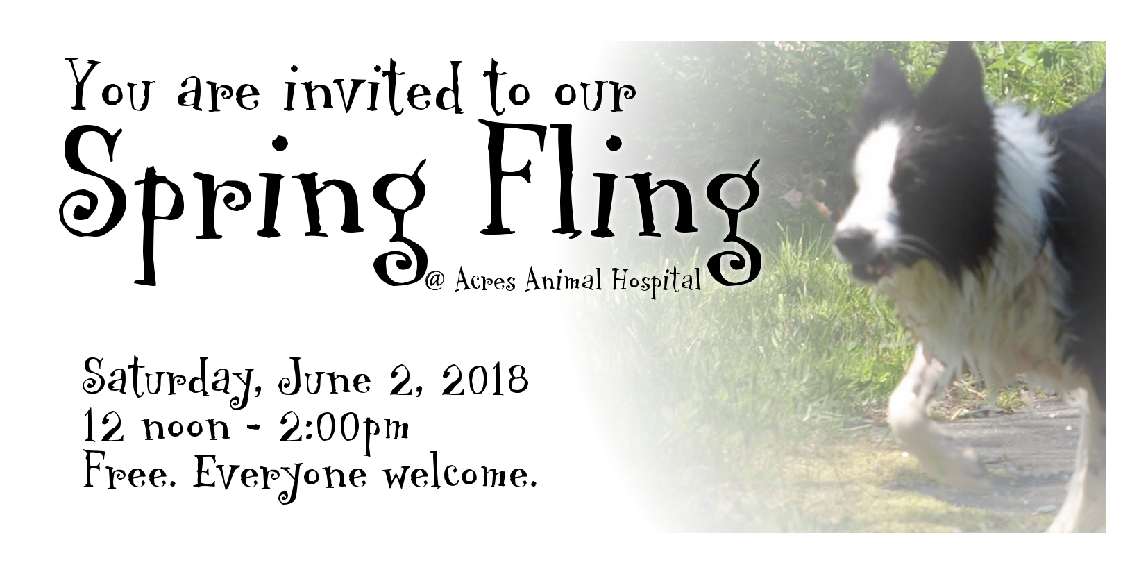 Spring Fling 2018