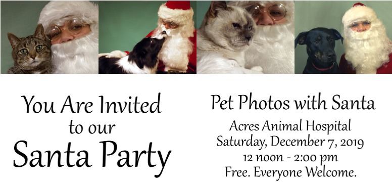 You are invited to our pet photos with Santa