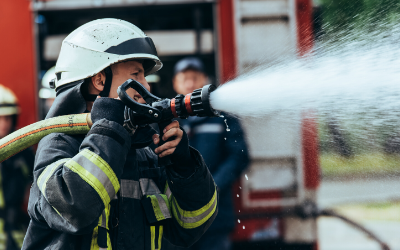 image for Pet Fire Safety Day