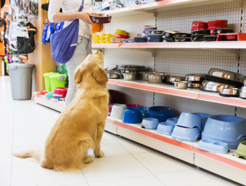 Pet Supplies Spend Less to Get More Acres Animal Hospital